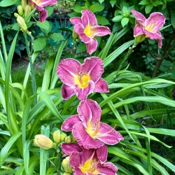 IMG_3010c67e34fb36177634