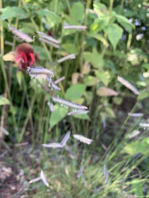 IMG_34612b9bacc9e93b3dcc.jpeg