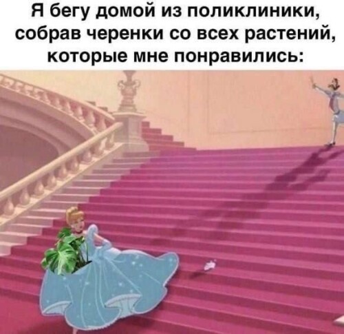 2gcewbe4322c8d89fb965cce.jpg