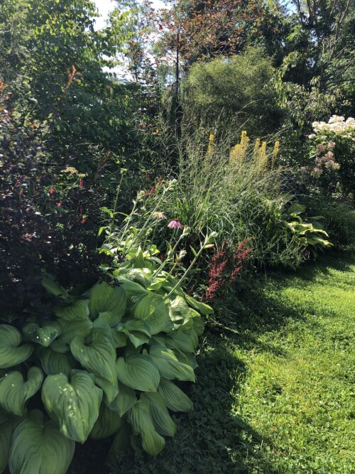 IMG_4331467c3ad6169d57fa.jpeg