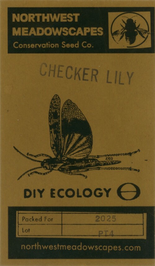 Checker Lily