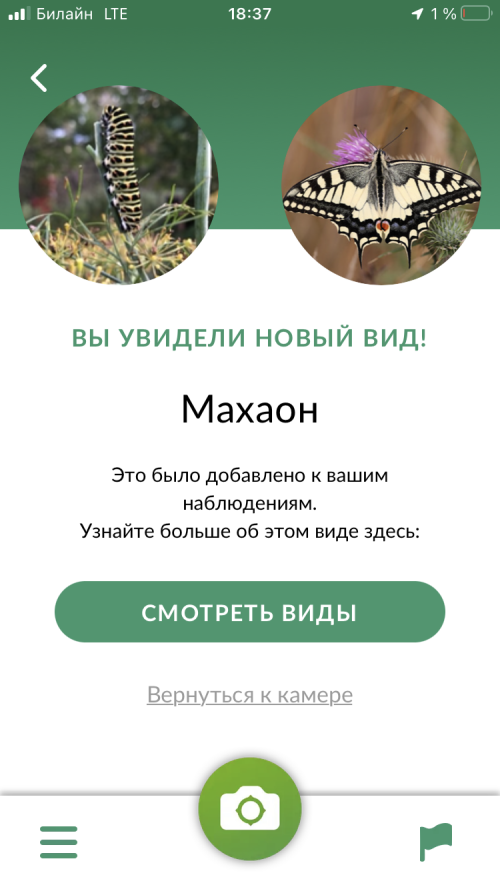 IMG_5202ddfefb1d0f45b0e4.png