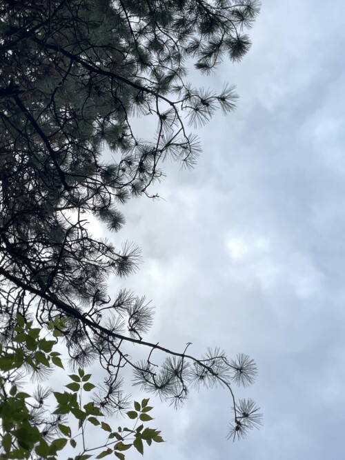 IMG_7873a53ae7db2248984e.jpeg
