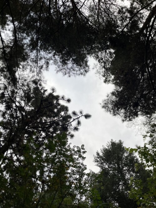 IMG_78782cbc64232953107e.jpeg