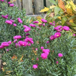 IMG_3584de2f0ce967a97bf4