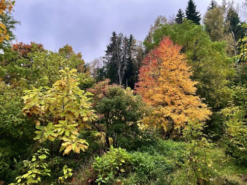 IMG_5322-26bc9e23e04a912f2.jpeg