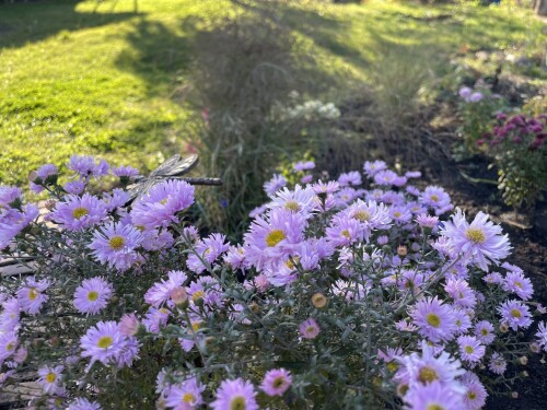 IMG_7960ac656e627fa5157b.jpeg
